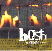 Bush - Greedy Fly CD 2